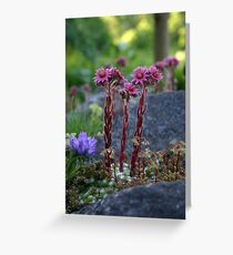 Standing Tall when the World is Small Greeting Card