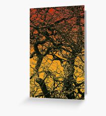 Robinia pseudoacacia Greeting Card