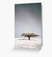 Serengeti dreaming Greeting Card