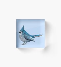 Blue Jay Bloc acrylique