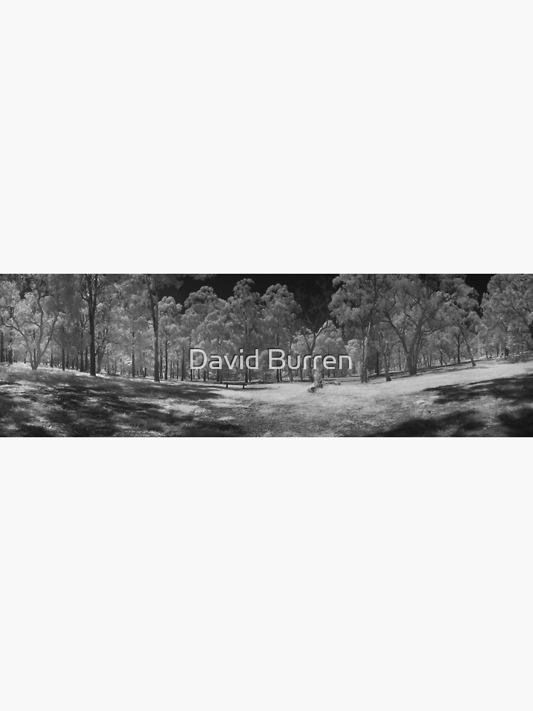Wattle Park in infrared by DavidBurren
