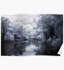 IR Dreaming Poster