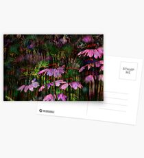 Rudbeckias Postcards