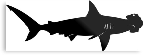 Download "Hammerhead Shark Silhouette (Black)" Metal Print by ...
