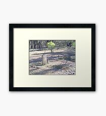 Old Grave Framed Print