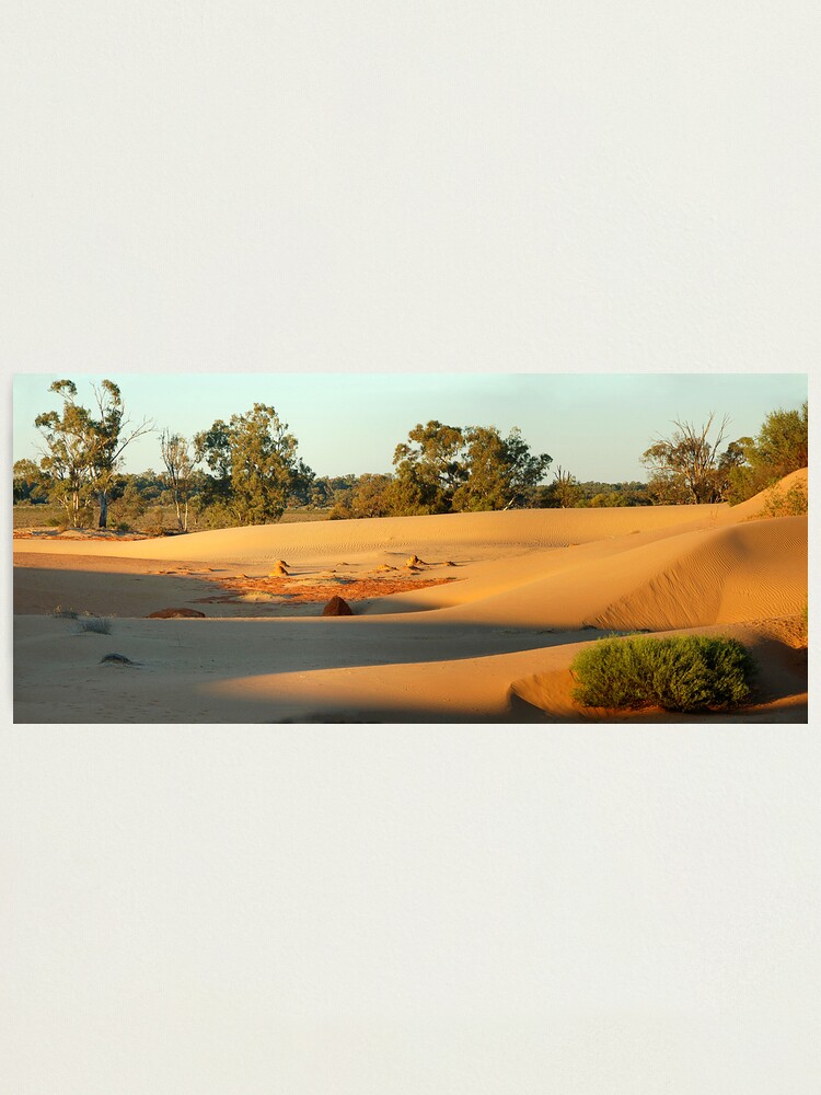 Alternate view of Perry sand dunes Photographic Print