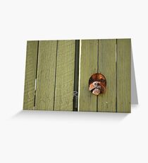 "Don't Make Me Come Out There!" Greeting Card