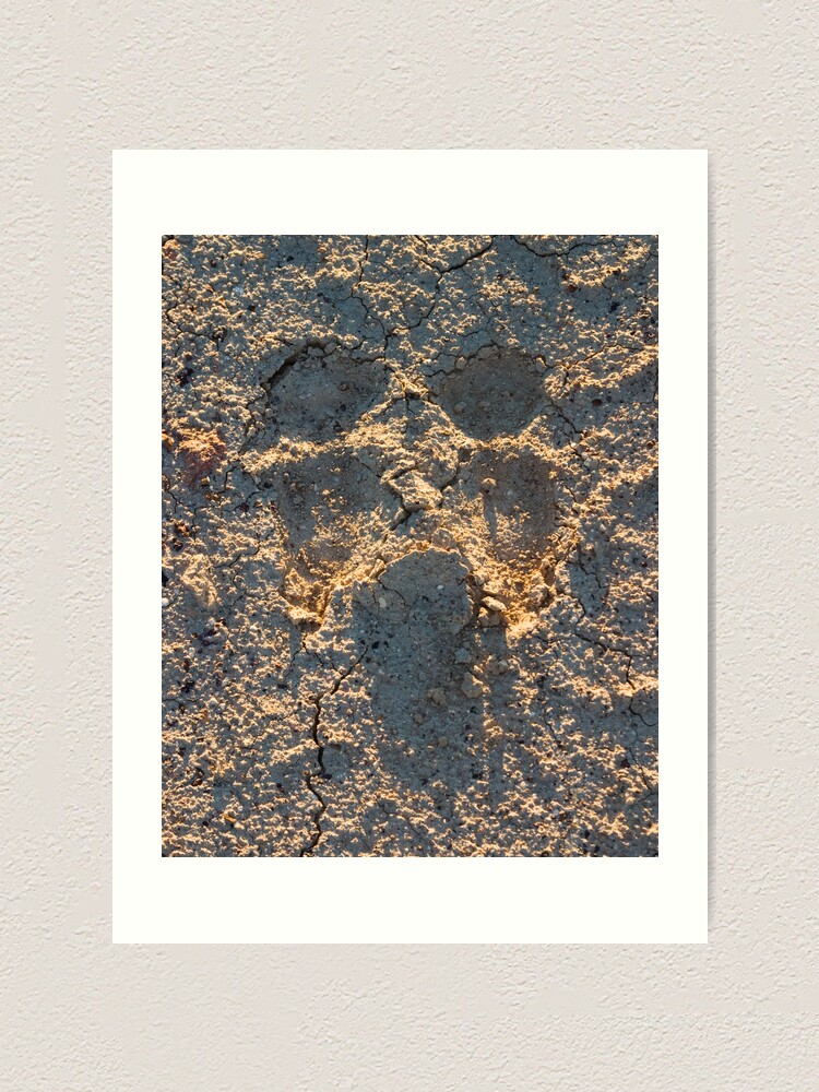 Alternate view of Camel scream Art Print
