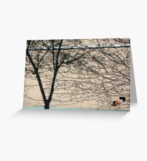 Brunswick wall. Greeting Card