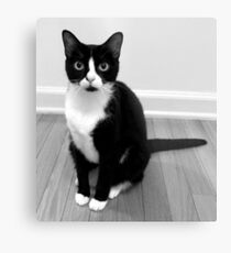 Kiera Metal Print