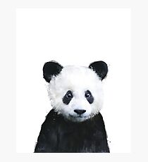 Kleiner Panda Fotodruck