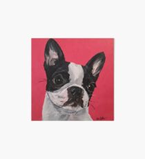 Boston terrier dog Art by Lee H Keller Art Board