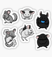 Chinchillas! Sticker