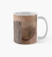 fencing Mug