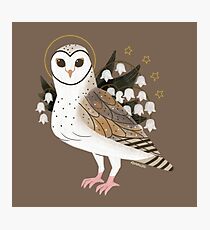 Familiar - Barn Owl Photographic Print
