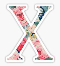 X/Chi Sticker