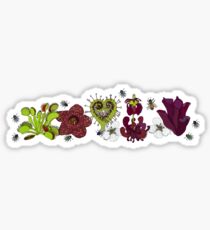 Insectivorous plants - array Sticker