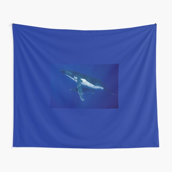 Humpback Whales, Vava'u, Tonga Tapestry