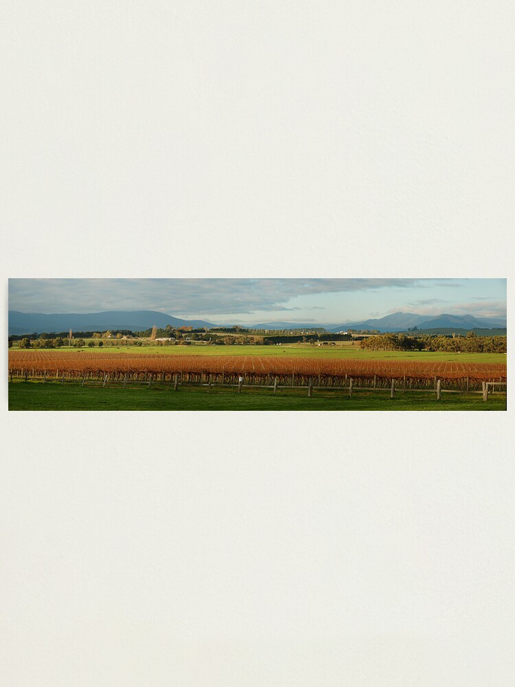 Alternate view of Yarra Valley Photographic Print