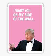 I Want You On My Side Of The Wall - Trump Valentine Sticker