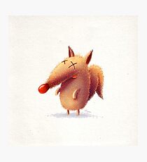 Fox Photographic Print