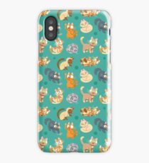 Whole Lotta Cat (Natural version) iPhone Case/Skin
