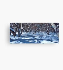 Snow Gums and Shadows Canvas Print