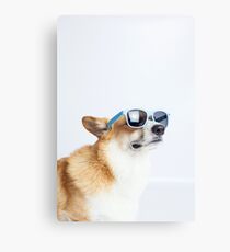 Dapper Corgi Canvas Print