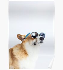 Dapper Corgi Poster