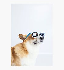 Dapper Corgi Photographic Print