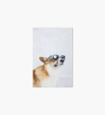 Dapper Corgi Art Board
