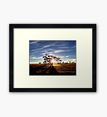 Into The Shadows Framed Print
