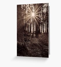 Sun Burst Greeting Card