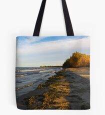Sheldon Marsh - Autumn Beach 2 Tote Bag
