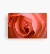 Layer upon Layer Metal Print