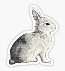Rabbit Sticker