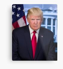 Trump Metal Print
