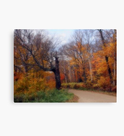 5x7: Canvas Prints | Redbubble