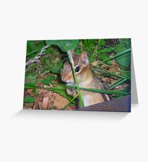landscapephotocomp Greeting Card