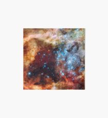 Doradus Nebula, Hubble Space Telescope Image Art Board