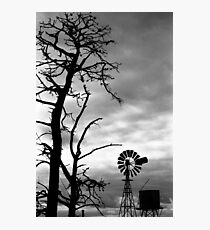 Drought Photographic Print