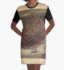 1885 Dresses