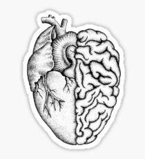 Heart and Brain Sticker
