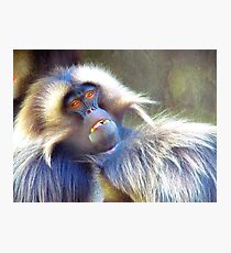 Ready for my close-up Photographic Print