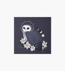 Familiar - Sooty Owl Art Board