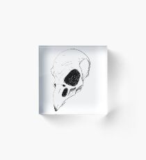 Crow Skull Acrylic Block
