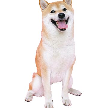 Hashtag best sale shiba inu