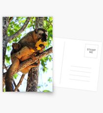 The pleasure of food Postcards