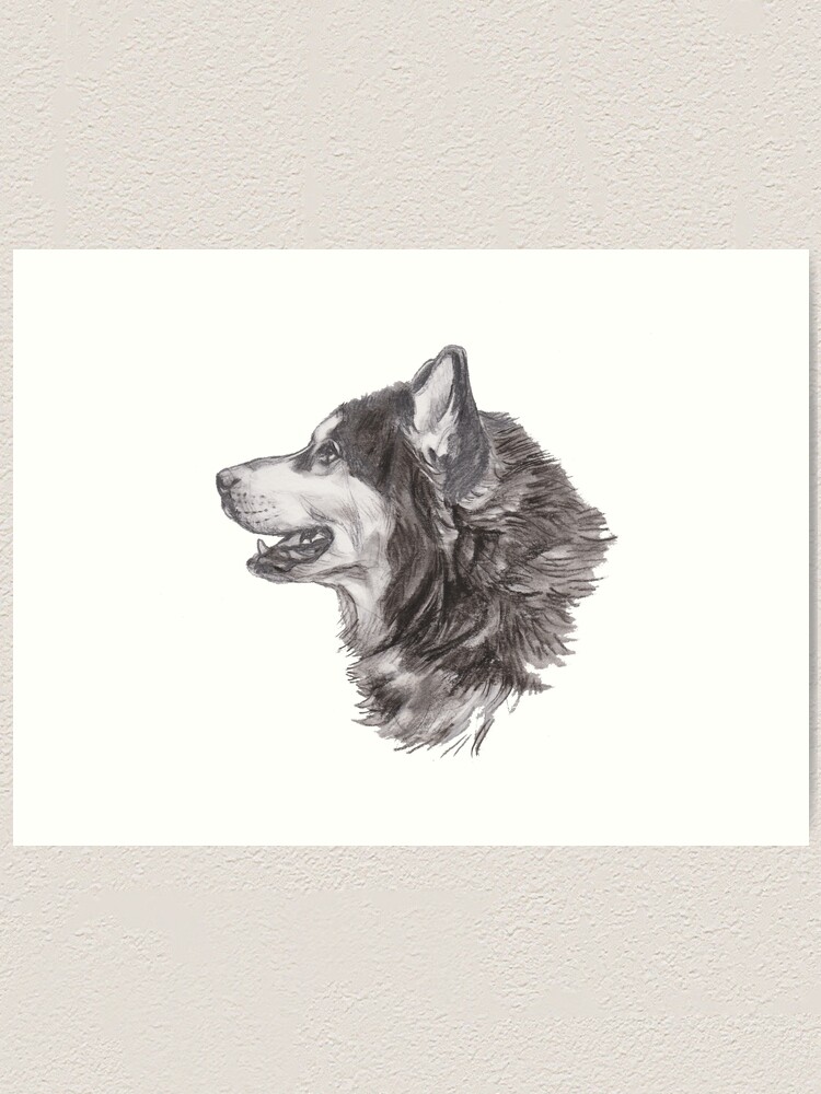 Dessin De Profil De Chien Husky Sibérien Classique Impression Artistique