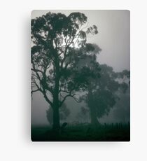 gums in the mist Canvas Print